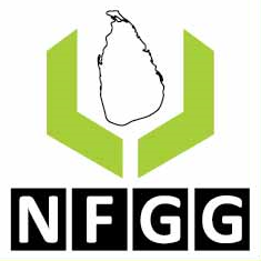 NFGG - 01
