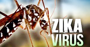 Zika virus - 001