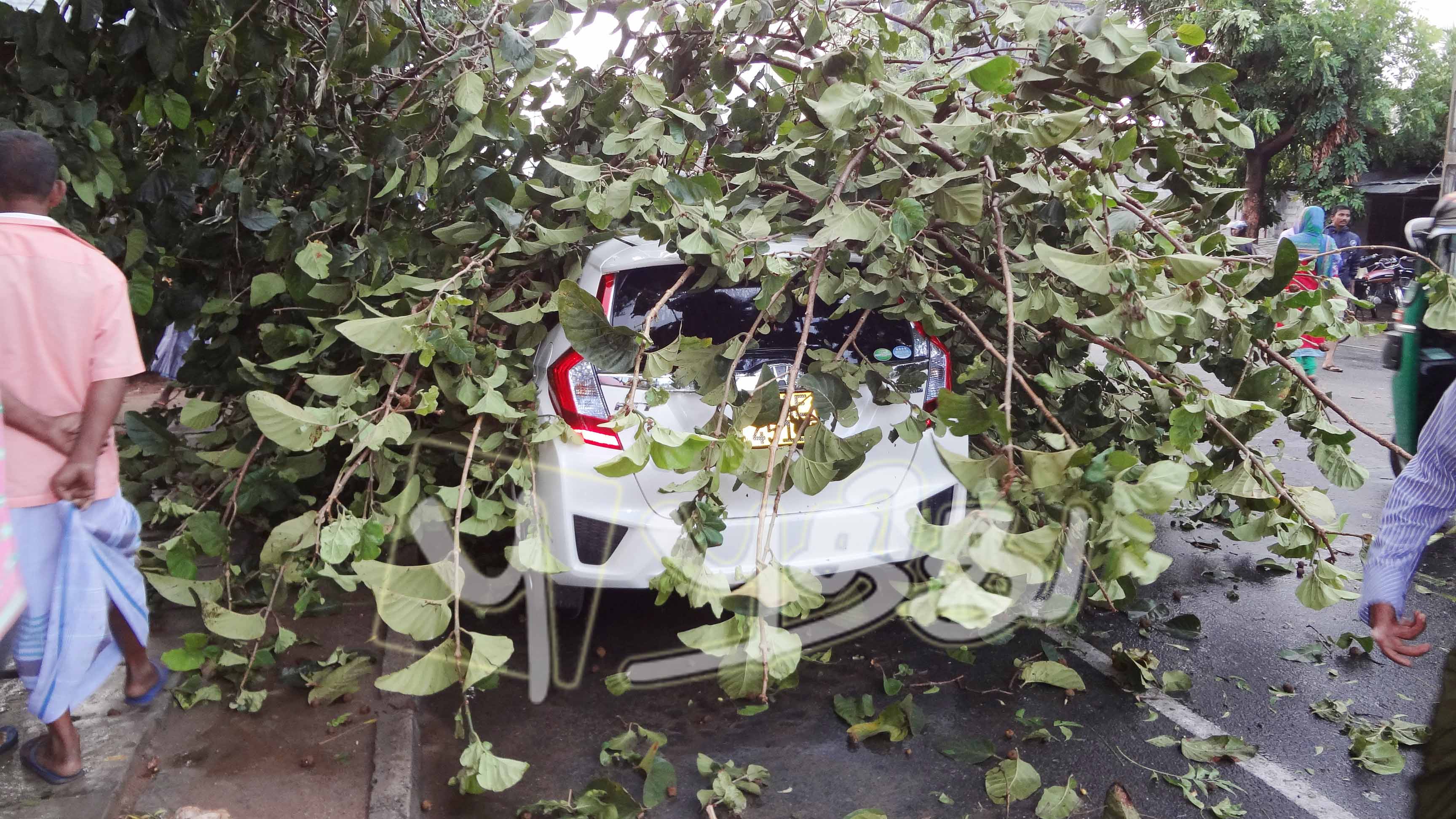 அம்பாறை கரையோர பகுதிகளில் கடும் காற்றுடன் கூடிய மழை; சிறு சேதங்கள், மின்சாரமும் துண்டிப்பு
