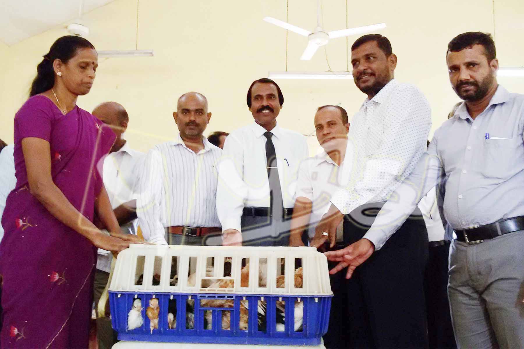 திவிநெகும வாழ்வாதார உதவி, சம்மாந்துறையில் வழங்கி வைப்பு