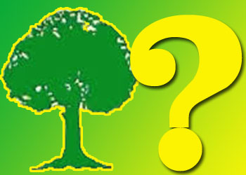 மு.கா.வின் தேசியப்பட்டியல் யாருக்கு: அபிப்பிராயங்களும், அனுமானங்களும்