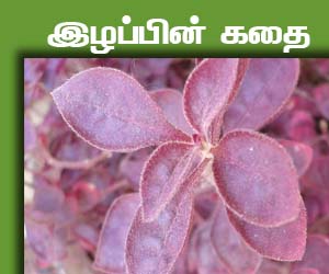 இழப்பின் கதை