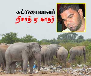 ஆலிம்சேனை: துன்பங்களால் சூழப்பட்ட கிராமம்