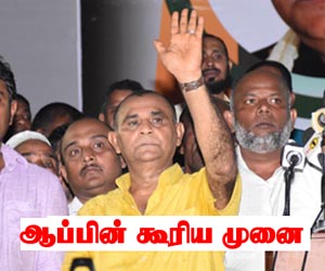 ஆப்பின் கூரிய முனை