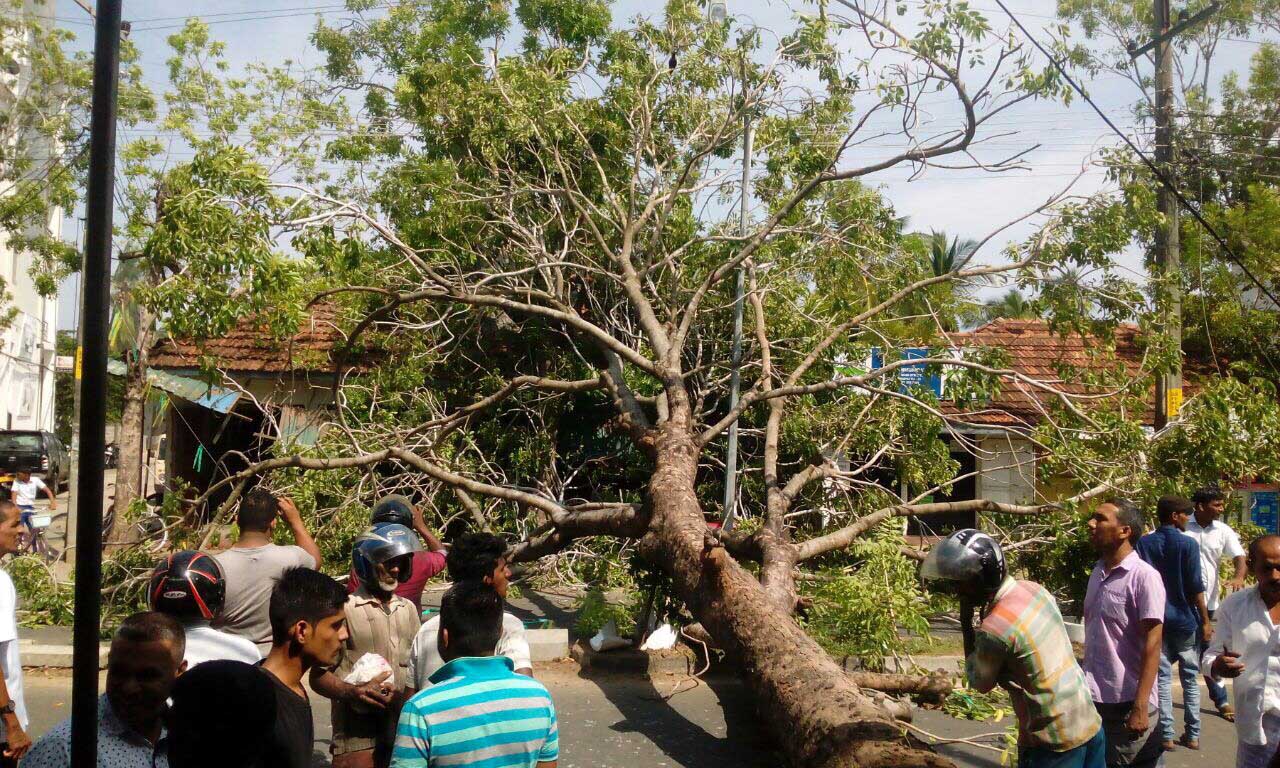 கோமாளிகள் அதிகாரிகளாக இருப்பதால் ஏற்படும் அவலம்; அக்கரைப்பற்றில் தலைக்கு வந்தது தலைப்பாகையோடு போனது