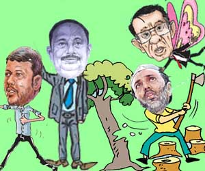 யானைச் சவாரி