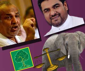 முஸ்லிம் காங்கிரஸும் ஊன்றுகோலும்