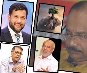 மாயாஜாலம்