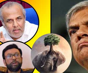தேசிய அரசாங்கம்: போலியும், வெட்கமும்