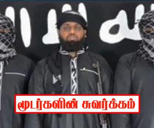 மூடர்களின் சுவர்க்கம்