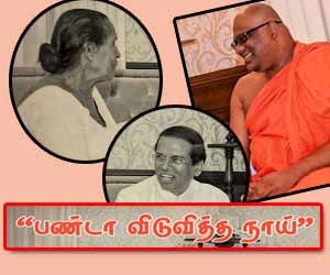 பண்டா விடுவித்த நாய்