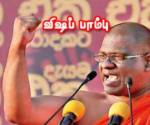 விஷப் பாம்பு