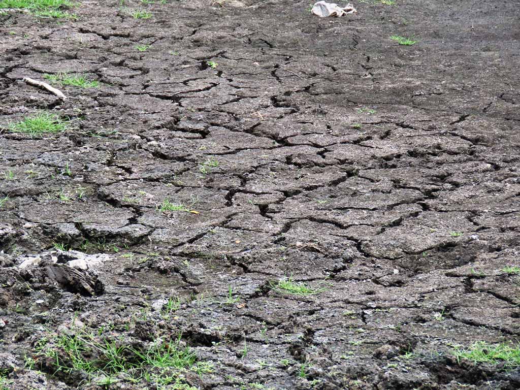 வறட்சியான காலநிலை காரணமாக 02 லட்சத்துக்கும் மேற்பட்டோர் பாதிப்பு