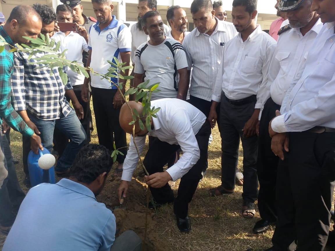 தென்கிழக்கு பல்கலைக்கழகத்தில், சுதந்திர தினக் கொண்டாட்டம்