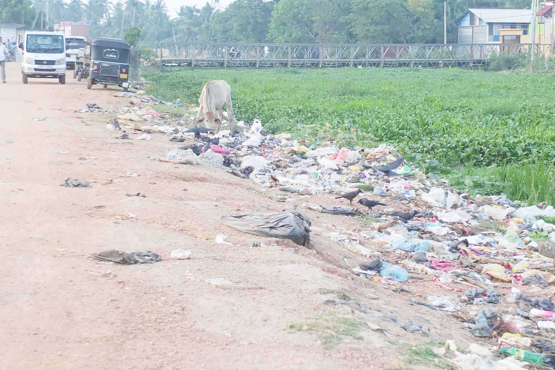 சாய்ந்தமருது பொலிவேரியன் பகுதியில் அகற்றப்படாத குப்பை: கல்முனை மாநகர சபையின அலட்சியம்