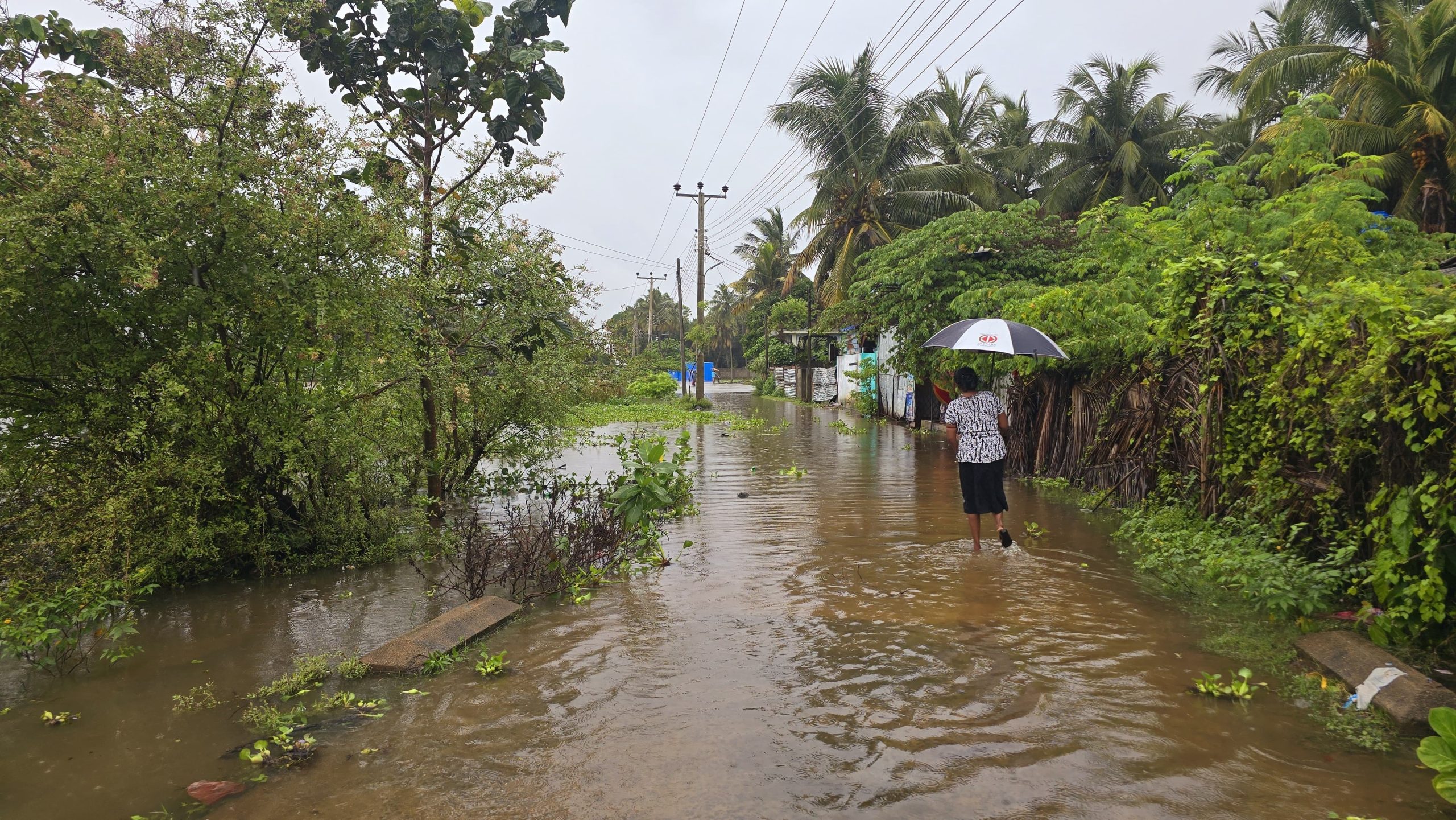 சீரற்ற காலநிலையினால் 12 மாவட்டங்களில் 15670 குடும்பங்கள் பாதிப்பு