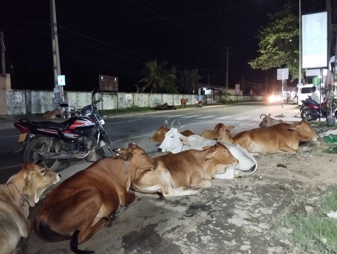 சொரணையற்று நடந்துகொள்ளும் அட்டாளைச்சேனை பிரதேச சபைத் தவிசாளர் தொடர்பில் மக்கள் விசனம்