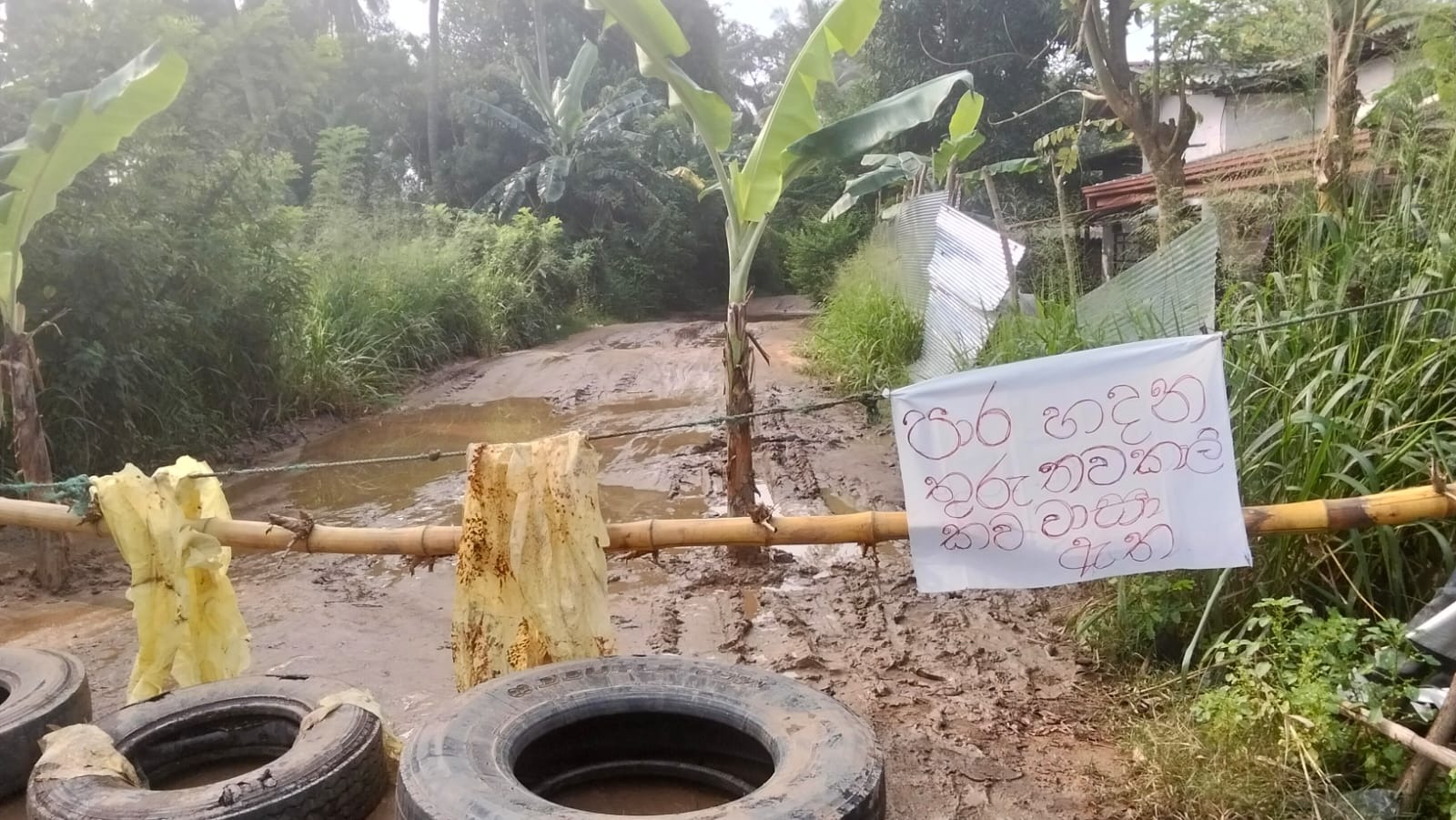 வீதி நடுவில் வாழை மரத்தை நட்டு போராட்டம்