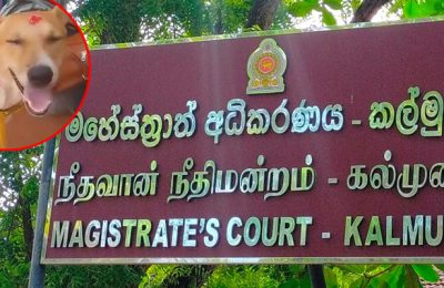 நாயைத் தாக்கிய இளைஞருக்கு 100 ரூபாய் அபராதம்; வழக்கிலிருந்தும் விடுதலை